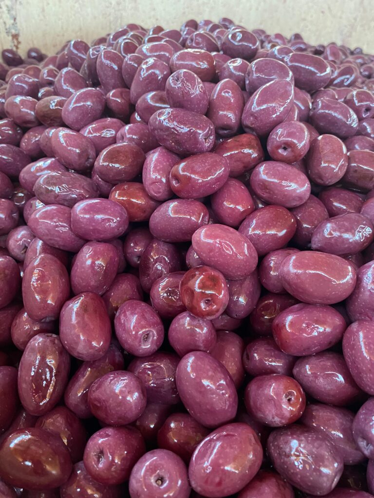 WhatsApp Image 2024-09-27 at 07.55.01 (1)