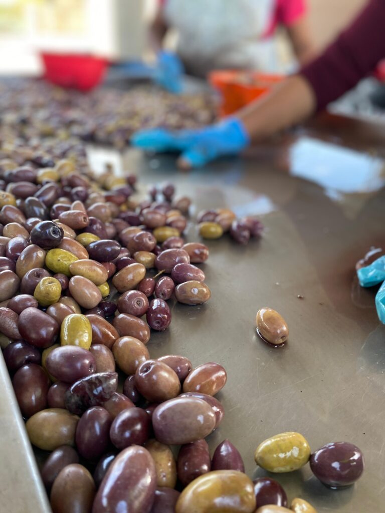 WhatsApp Image 2024-09-27 at 07.55.04 (2)